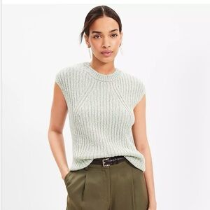 NWT Loft Marled Ribbed Wedge Sweater Size L